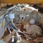 VOLVO A25C 6X6 used used