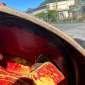 BITELLI BORA C80 used used