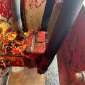 BITELLI BORA C80 used used