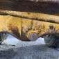 VOLVO A35 6X6 de ocasión de ocasión
