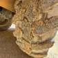 VOLVO L30Z d'occasion d'occasion