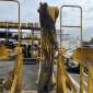 CATERPILLAR 330D L + BRAS DE DEMOLITION d'occasion d'occasion