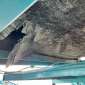 POWERSCREEN WARRIOR 1800 d'occasion d'occasion
