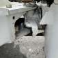 VOLVO L30B-Z/X d'occasion d'occasion