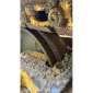 KOMATSU D37EX gebraucht gebraucht