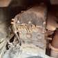 RENAULT PREMIUM 370-26 AVEC BOUILLE ACMAR used used