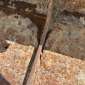  SW33 - 1700mm rulate rulate