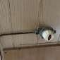 FEMIL ROULOTTE DE CHANTIER rulate rulate
