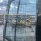 CASE WX185 rulate rulate