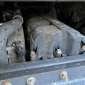 RENAULT KERAX 420DCI d'occasion d'occasion