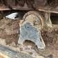 LIEBHERR R944C V LITRONIC gebraucht gebraucht