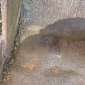  2000mm - Axes 70mm rulate rulate