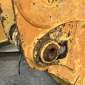 LIEBHERR R974B LITRONIC usadas usadas