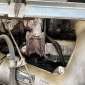 LIEBHERR LH22C LITRONIC gebraucht gebraucht