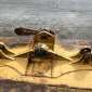 CATERPILLAR D6M LGP d'occasion d'occasion