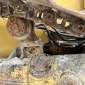 CATERPILLAR D6M LGP d'occasion d'occasion