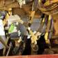 CATERPILLAR 963 d'occasion d'occasion