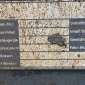VERACHTERT CW45S - 1600mm used used