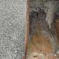  M2 - 390mm rulate rulate
