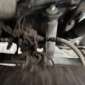 RENAULT KERAX 320 DCI d'occasion d'occasion