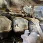 KOMATSU WA480-6 d'occasion d'occasion