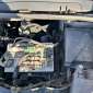 RENAULT KANGOO COMPACT d'occasion d'occasion