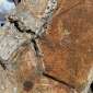 MONTABERT Lot 2 Croc Béton rulate rulate