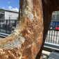 MONTABERT Lot 2 Croc Béton rulate rulate