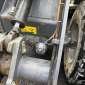 TEREX TL65 d'occasion d'occasion
