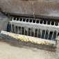 VOLVO FMX 410 8X4 used used