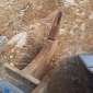 HITACHI ZX300LCN-6 d'occasion d'occasion