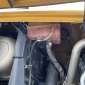 CATERPILLAR 926M gebraucht gebraucht
