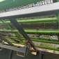  GIANT MS 3050 gebraucht gebraucht