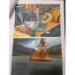JCB JS220LC gebraucht gebraucht