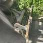 VOLVO L35B-Z/S d'occasion d'occasion