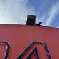 LIEBHERR R944C HDSL LITRONIC d'occasion d'occasion