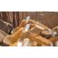 HAMMEL VB 750 D d'occasion d'occasion